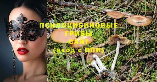 apvp Новокубанск