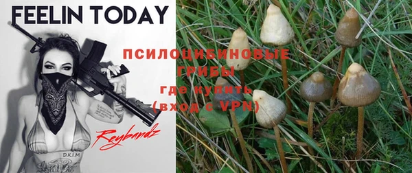 apvp Новокубанск