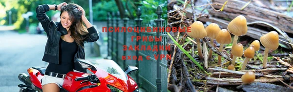 прущая мука Новозыбков
