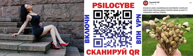 Псилоцибиновые грибы Magic Shrooms  Купить закладки  Краснообск 
